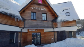 Apartmán Alfa 11